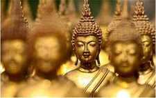 玄奘法师与部派佛教